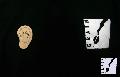 Bild: 5_img_0140.jpg